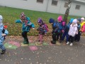 IMG_20221103_084800