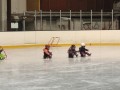 IMG_20221124_101858