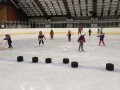 IMG_20221208_095445