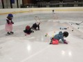 IMG_20221222_092741