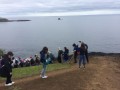 IMG_3536