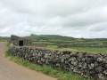 IMG_3556