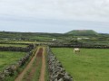 IMG_3557