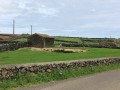 IMG_3558