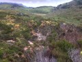 IMG_3657