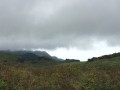 IMG_3659