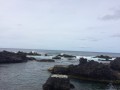IMG_3660