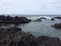 IMG_3662
