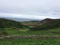 IMG_3695