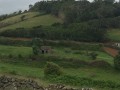 IMG_3700