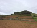 IMG_3702