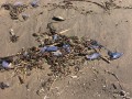 IMG_3849