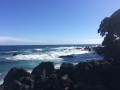 IMG_3854