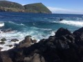 IMG_3856