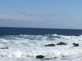IMG_3858