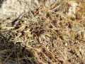 IMG-20221025-WA0036