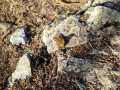 IMG-20221026-WA0007