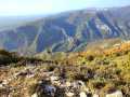 IMG-20221026-WA0008