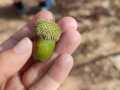 IMG-20221026-WA0018