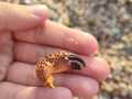 IMG-20221027-WA0022