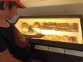 IMG-20221027-WA0034