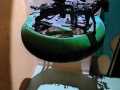 IMG-20221028-WA0010