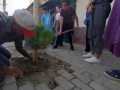 IMG-20221017-WA0079
