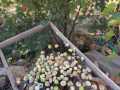 IMG-20221017-WA0093