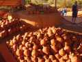 IMG-20221017-WA0097