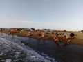 IMG-20221017-WA0101