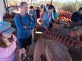 IMG-20221017-WA0103