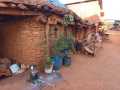 IMG-20221017-WA0105