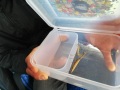 IMG_20220920_122658