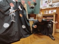 Halloween-46