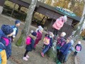 IMG_20221102_084854