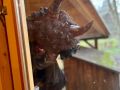 317771288_577063464427595_9082871913167951855_n