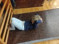 IMG_20231102_123052