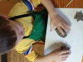 IMG_20231114_092746