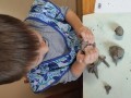 IMG_20231114_092813