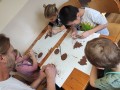 IMG_20231114_102647