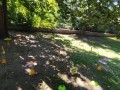 IMG_20230916_124443