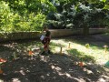 IMG_20230916_132824