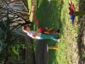 IMG_20230916_134236