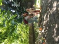 IMG_20230916_134818