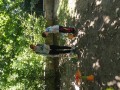 IMG_20230916_135258