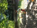 IMG_20230916_135634