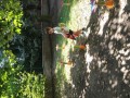 IMG_20230916_135636