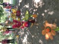 IMG_20230916_141222