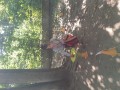 IMG_20230916_142358
