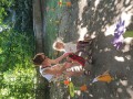 IMG_20230916_143636